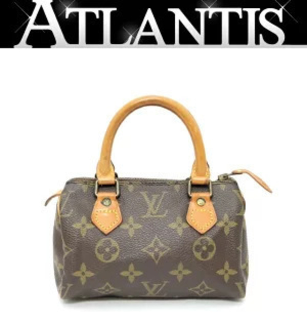 Louis Vuitton Speedy Handbag Monogram